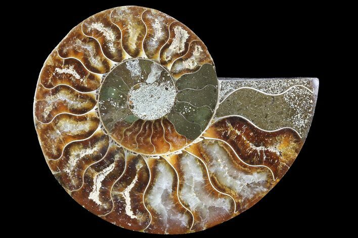 Agatized Ammonite Fossil (Half) - Madagascar #83820